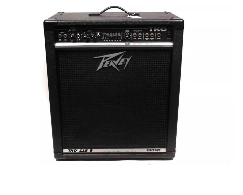 Ampeg BA115 v2 Bascombo